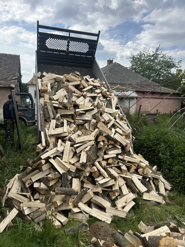 Čerstvo dovezené polená